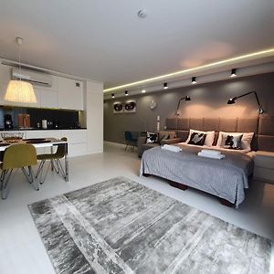 Deluxe Studio met een King Size Bed